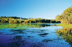 phoca_thumb_l_mini pantanal ao lado do rio canoas    tem mais de 40 hectares de lagoas com peixes nativos